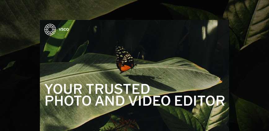 Background VSCO: Photo & Video Editor 